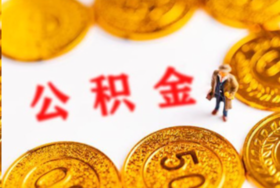 普陀在职公积金提取条件
