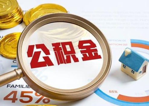 普陀2025年政策调整对个人影响综合解析‌